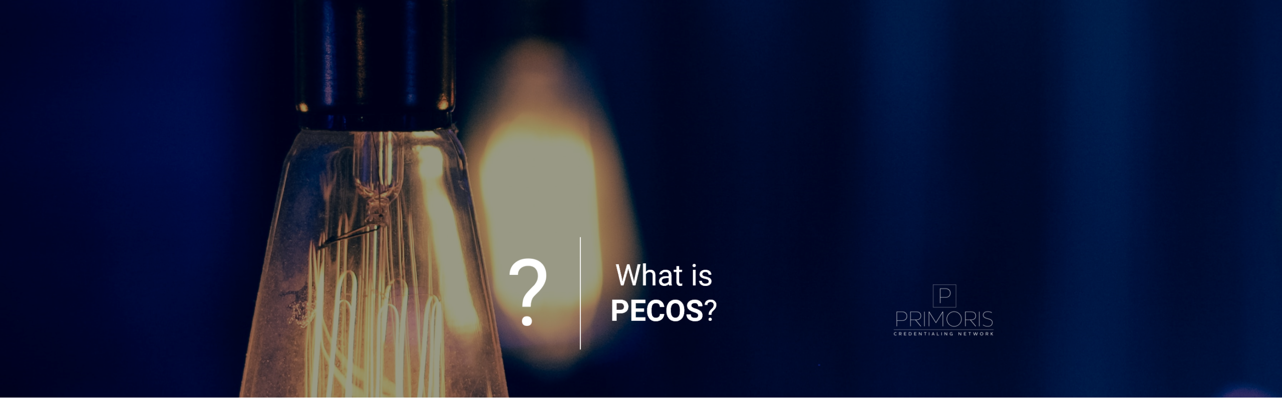 What is PECOS (Provider Enrollment Chain Ownership System)
