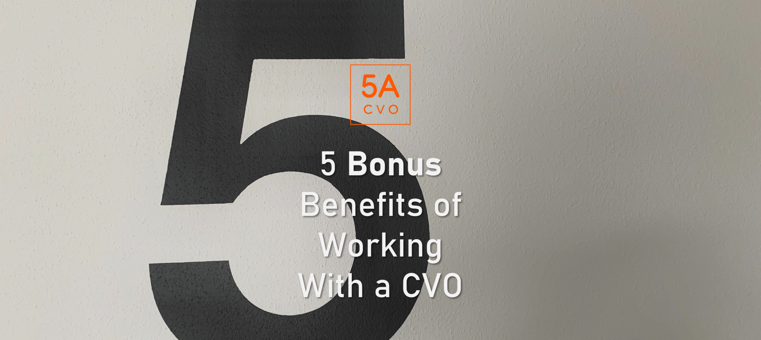 5 Bonus Benefits Of Working With A CVO