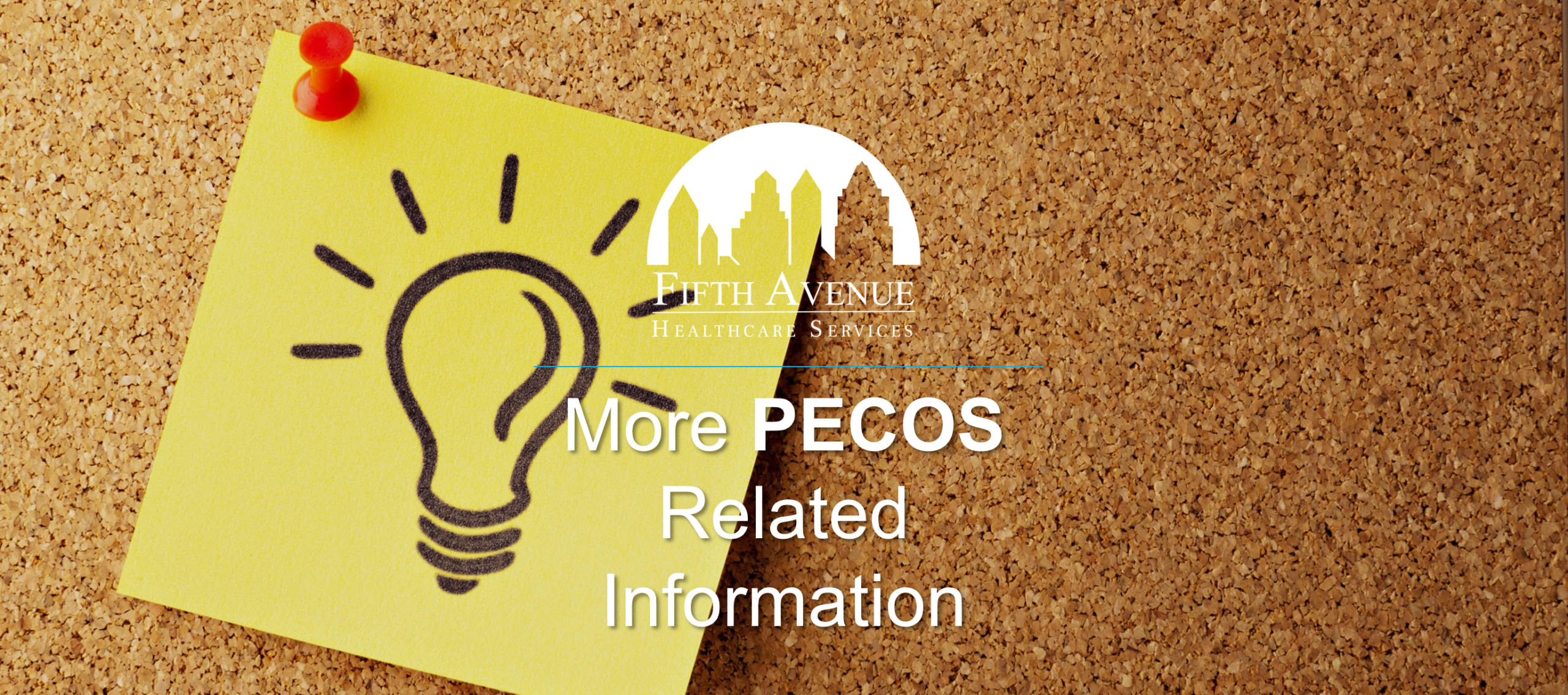 Additional PECOS Related Information