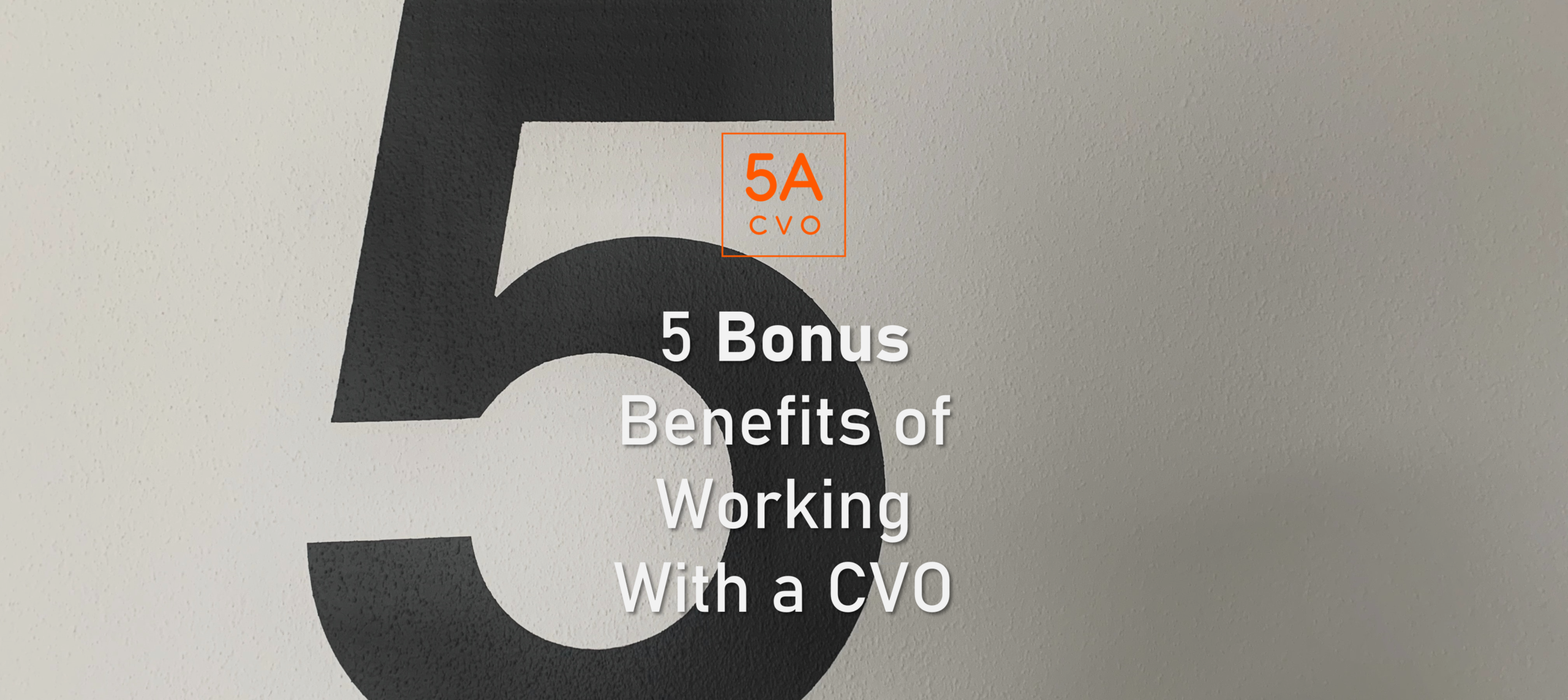 5 Bonus Benefits Of Working With A Cvo